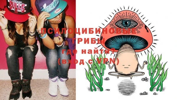 круглые Алексеевка