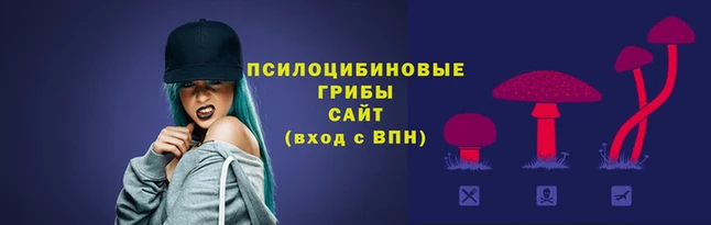 круглые Алексеевка