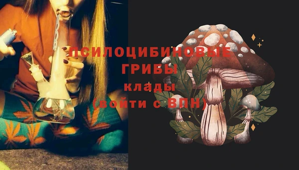 круглые Аркадак