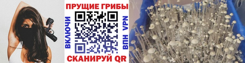цена наркотик  Гуково  Галлюциногенные грибы мухоморы 